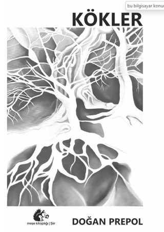 Kökler