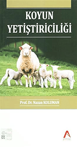 Koyun Yetiştiriciliği