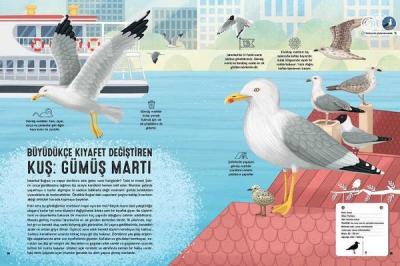 Kuş Atlası (Ciltli)