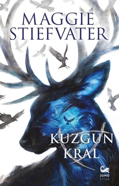 Kuzgun Kral Maggie Stiefvater