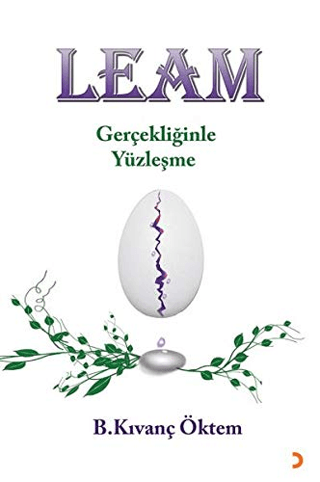 Leam - Gerçekliğinde Yüzleşme