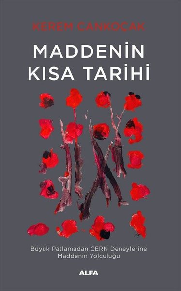 Maddenin Kısa Tarihi - Büyük Patlamadan CERN Deneylerine Maddenin Yolculuğu