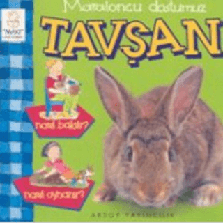 Maratoncu Dostumuz Tavşan Nasıl Bakılır? Nasıl Oynanır?