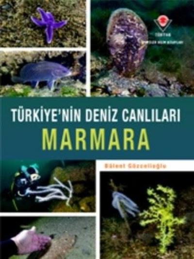 Marmara - Türkiye'nin Deniz Canlıları (Ciltli)