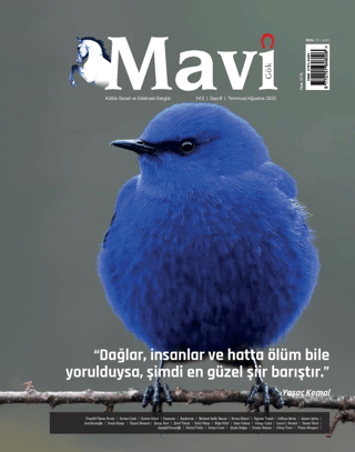 Mavi Gök Kültür Sanat Edebiyat Dergisi Sayı: 8 Temmuz - Ağustos 2022