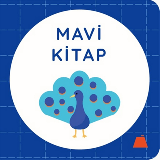 Mavi Kitap (Ciltli)