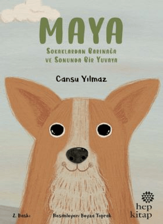 Maya - Sokaklardan Barınağa ve Sonunda Bir Yuvaya