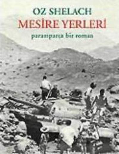 Mesire Yerleri - Paramparça Bir Roman
