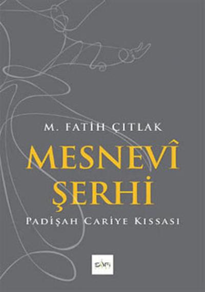 Mesnevi Şerhi
