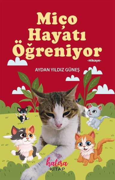 Miço Hayatı Öğreniyor