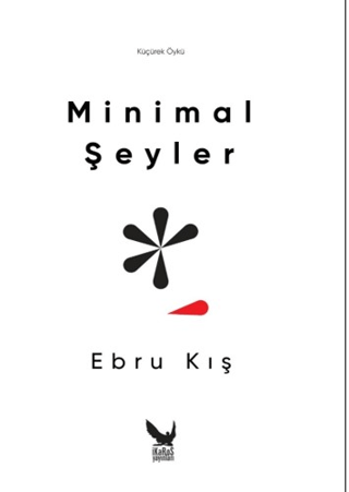 Minimal Şeyler