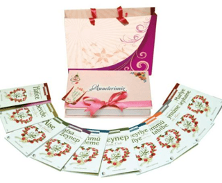 Müminlerin Anneleri - 10 Kitap Kutulu