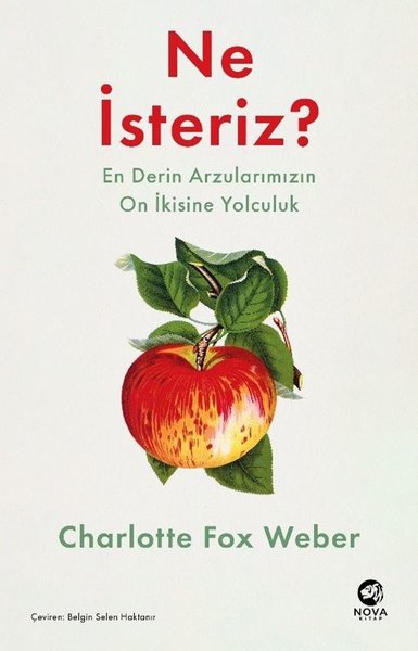 Ne İsteriz? En Derin Arzularımızın On İkisine Yolculuk