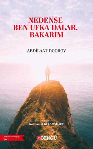 Nedense Ben Ufka Dalar, Bakarım