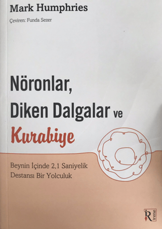 Nöronlar, Diken Dalgalar ve Kurabiye