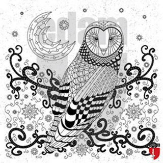 Nuh’un Gemisi Baykuş Tuval Boyama