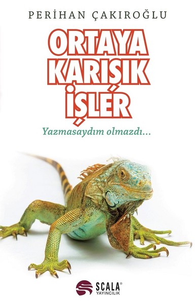 Ortaya Karışık İşler