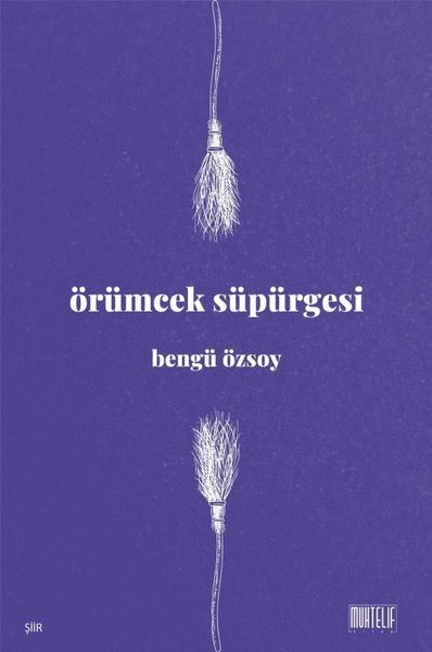 Örümcek Süpürgesi