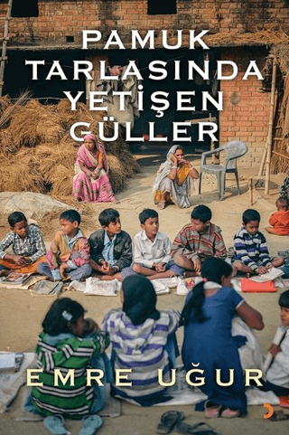 Pamuk Tarlasında Yetişen Güller
