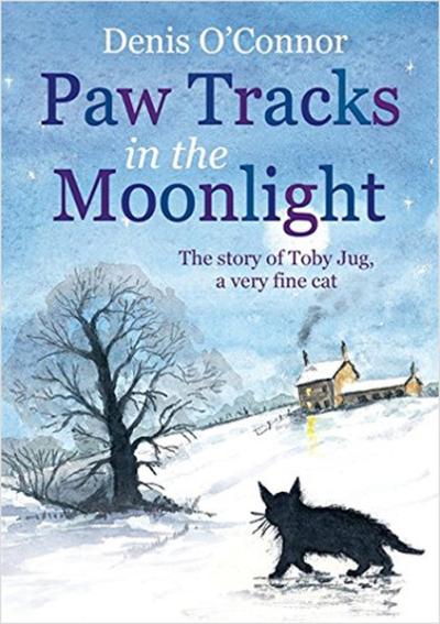 Paw Tracks in the Moonlight