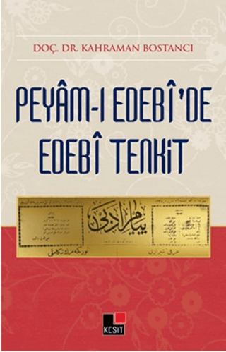 Peyami Edebide Edebi Tenkit