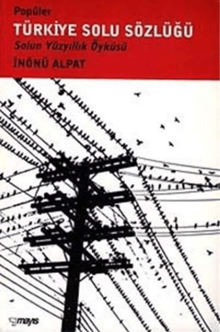 Popüler Türkiye Solu Sözlüğü Solun Yüzyıllık Öyküsü