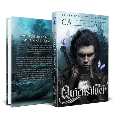 Quicksilver (Ciltli)