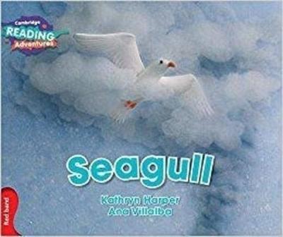 Red Band- Seagull Reading Adventures
