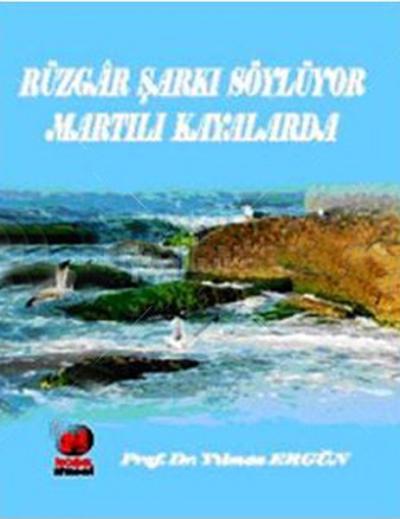 Rüzgar Şarkı Söylüyor Martılı Kayalarda Yılmaz Ergün
