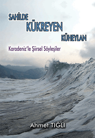 Sahilde Kükreyen Küheylan