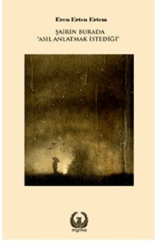 Şairin Burada Asıl Anlatmak İstediği