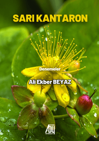 Sarı Kantaron - Denemeler Ali Ekber Beyaz
