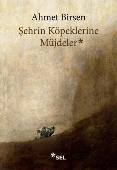 Şehrin Köpeklerine Müjdeler