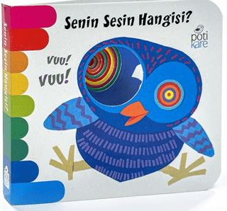 Senin Sesin Hangisi (Ciltli)