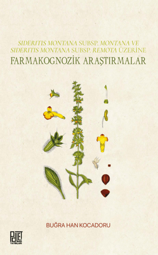 Sıderıtıs Montana Subsp. Montana Ve Sıderıtıs Montana Subsp. Remota Üzerine Farmakognozik Araştırmalar