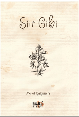Şiir Gibi