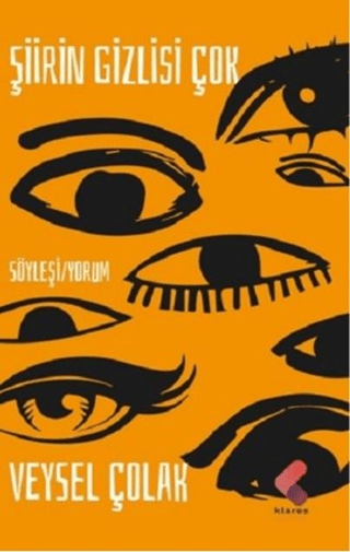 Şiirin Gizlisi Çok