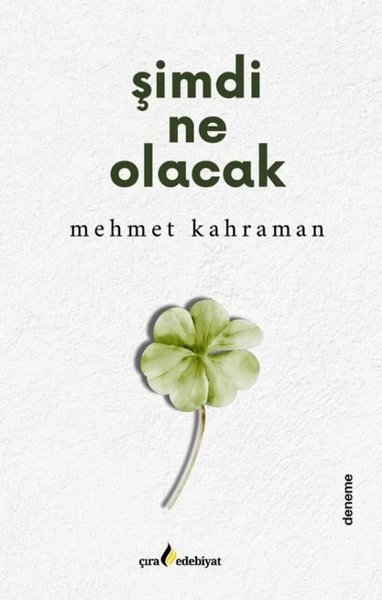 Şimdi Ne Olacak
