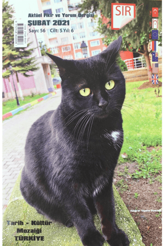 Sır Aktüel Fikir ve Yorum Dergisi Sayı: 56 Şubat 2021