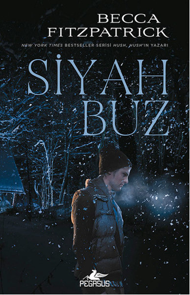 Siyah Buz (Ciltli)