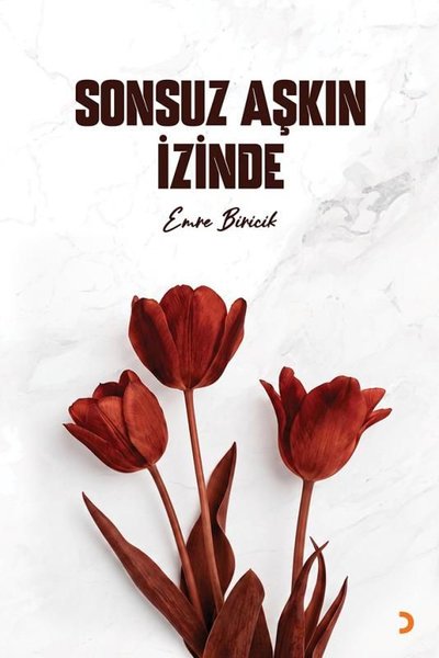 Sonsuz Aşkın İzinde
