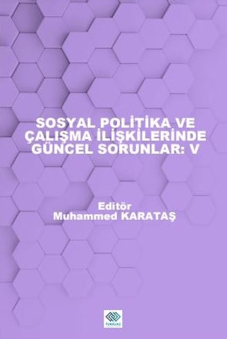 Sosyal Politika ve Çalışma İlişkilerinde Güncel Sorunlar: V