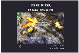 Su da Susar
