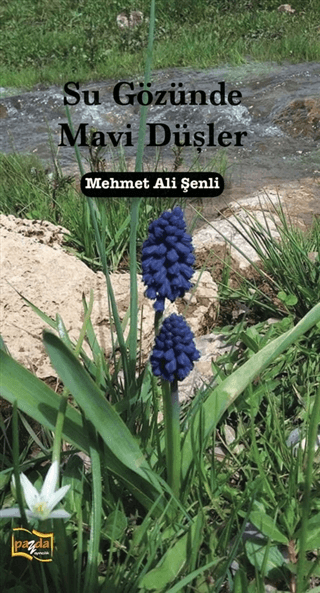 Su Gözünde Mavi Düşler