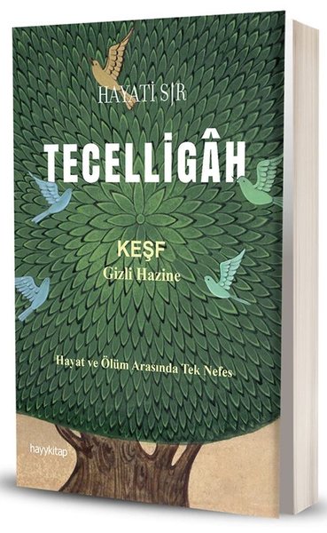 Tecelligah - Keşf Gizli Hazine