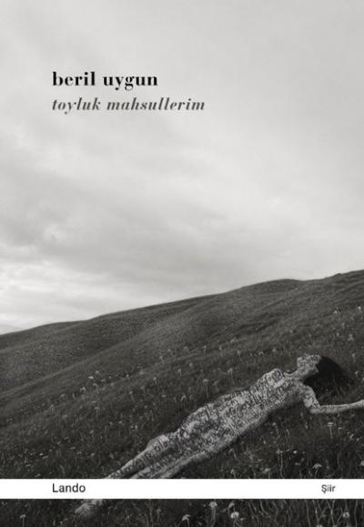 Toyluk Mahsullerim