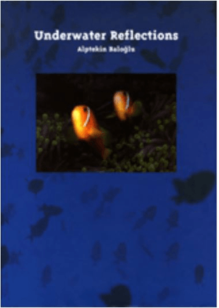 Underwater Reflections (Ciltli)