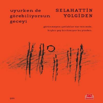 Uyurken de Görebiliyorsun Geceyi