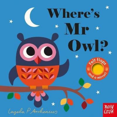 Where's Mr Owl? (Ciltli)