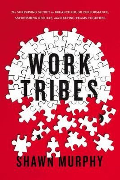 Work Tribes: The Surprising Secret to Breakthrough Performance, Astoni